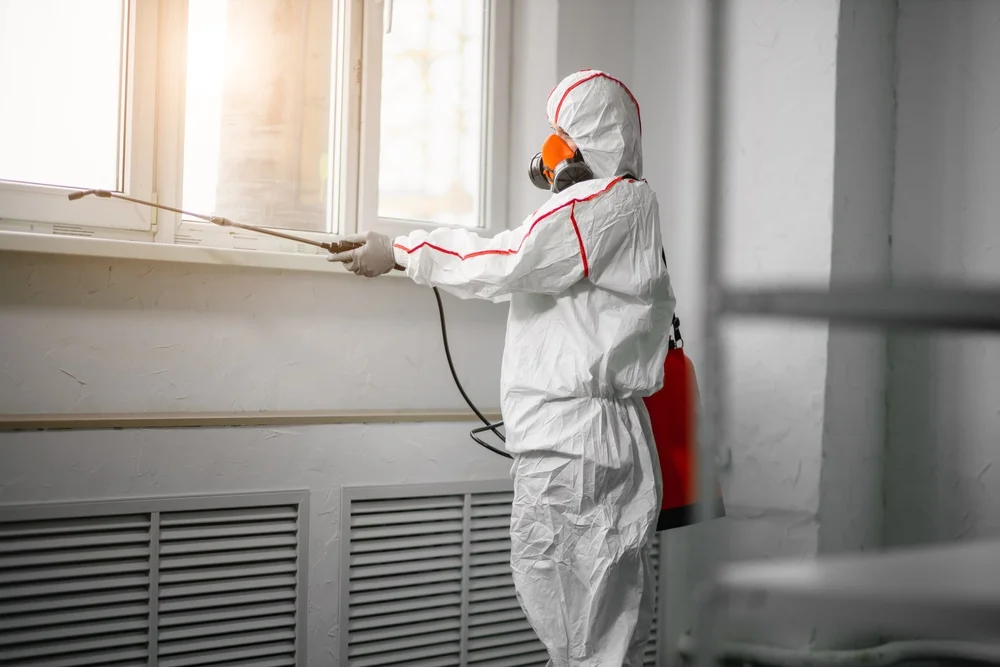 Professional mold remediation services in Rexford, NY